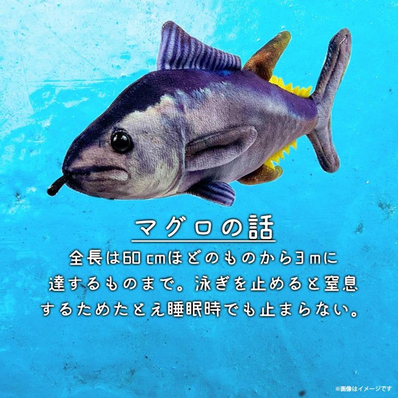 ぬいぐるみ 魚 クロマグロ さかなくんプロデュース SK016 1758