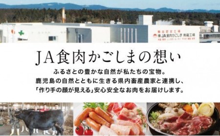 5等級 鹿児島黒牛サーロインステーキ4枚 牛肉 冷凍 バーベキュー BBQ JA食肉かごしま