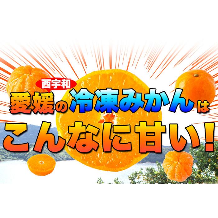 えひめのあまーい冷凍みかん (7個入×3袋、約900〜1000g) 給食や旅のお供でおなじみの冷凍みかんがどっさり21個