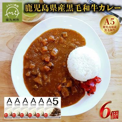 ふるさと納税 南九州市 5等級黒毛和牛カレー ごろごろお肉入り200gx6個