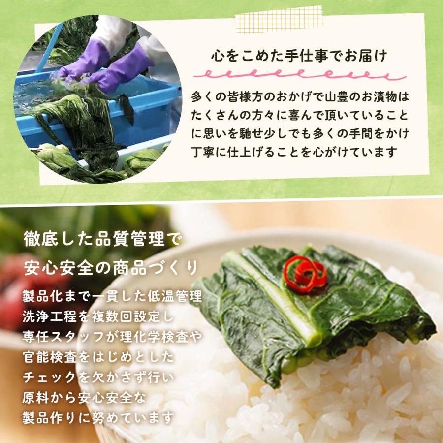 送料無料 [山豊] 漬物 広島菜 レモン 広島菜  100g×3  広島 漬物 漬菜 広島菜 レモン 国産