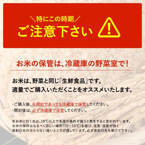 新米 玄米 3kg ひとめぼれ 岩手県産 米 お米 令和5年産 お試し 少量 送料無料