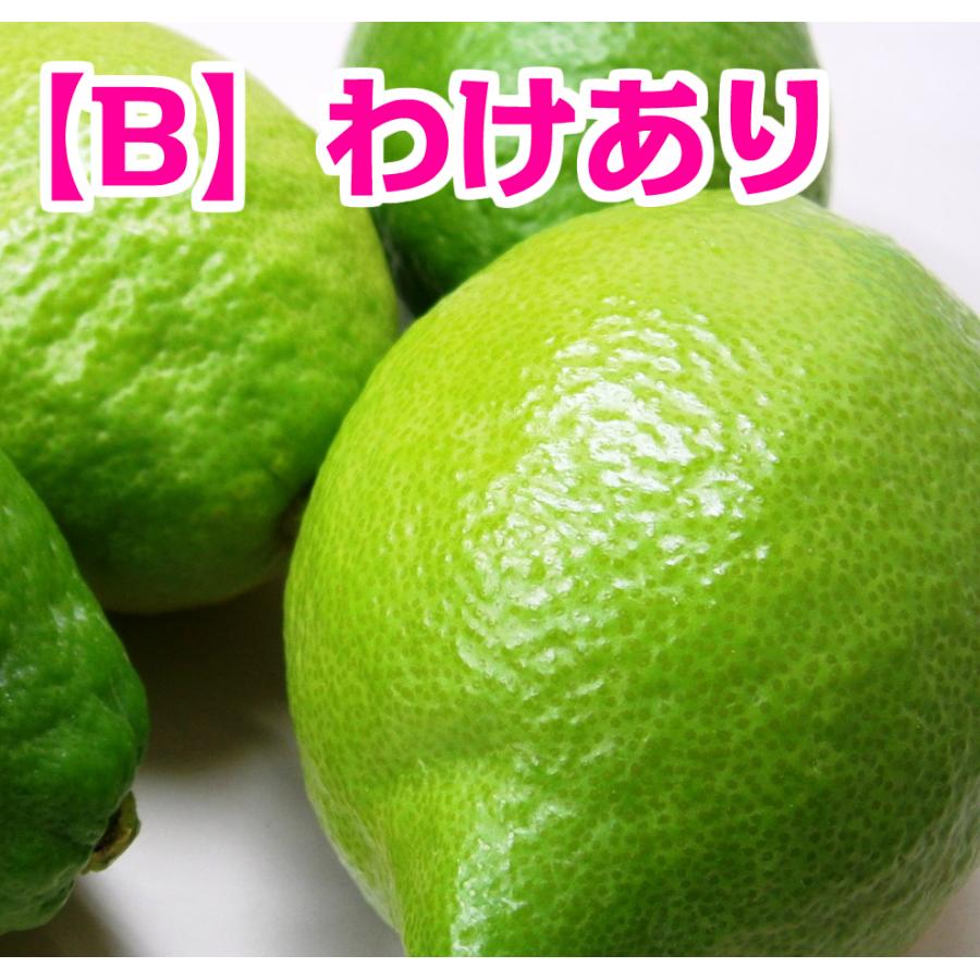 広島県産レモンわけあり　5kg　キズあり　送料無料　柑橘栽培に適した瀬戸内海　瀬戸内産　季節により薫り・美味しさの違いをお楽しみに！