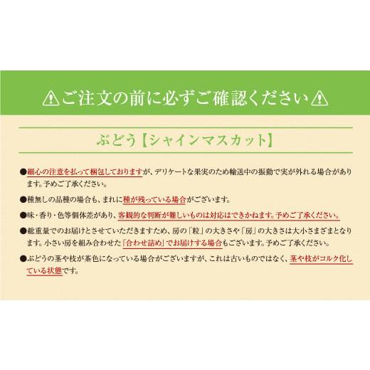 ふるさと納税 福島県 田村市 ＼ 旬の時期お届け！全5回 ／ フルーツ定期便B 農家直送 自分へのご褒美 ※数量限定 旬 季節 果物 フルーツ セット…