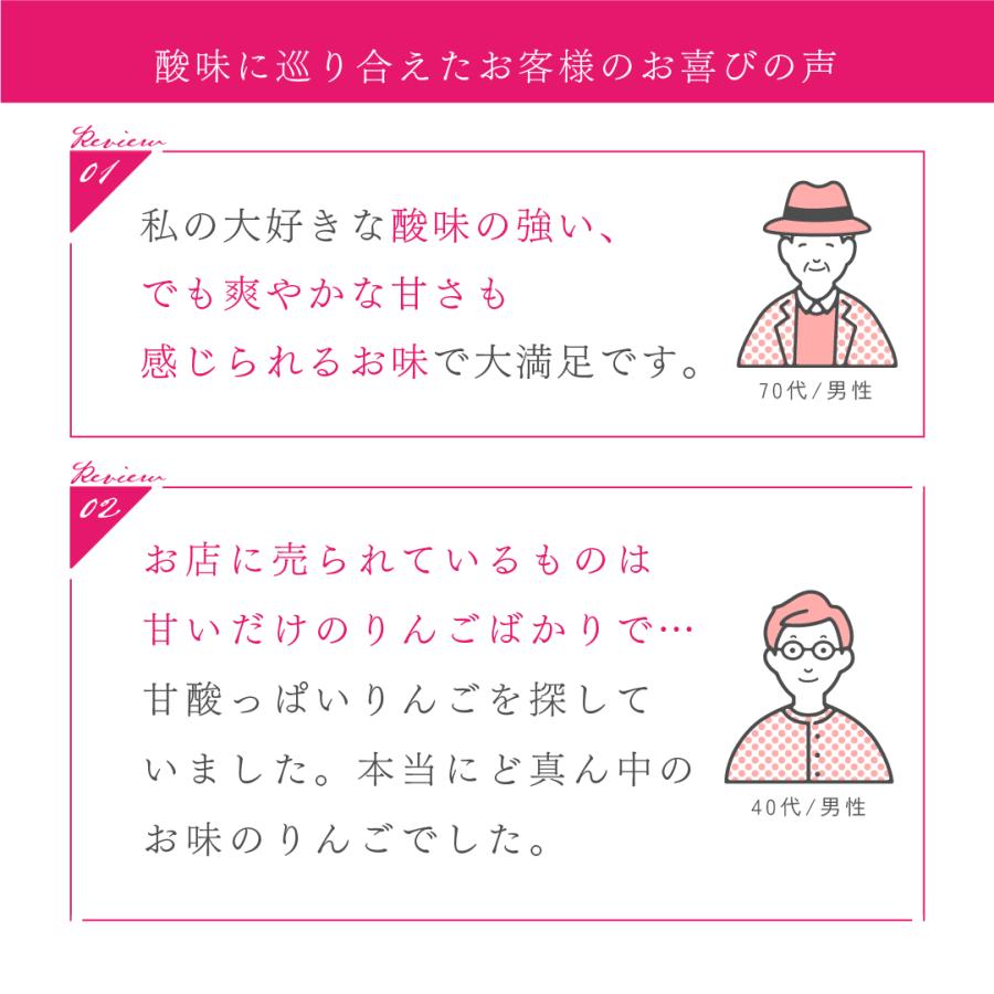 ピンクレディ 5kg 箱 訳あり 幻の林檎 減農薬 希少 りんご 長野 安曇野 信州 産地直送 酸っぱい 「ピンクレディ5キロ箱訳あり品」