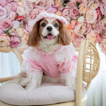 粉紅色長袖蕾絲連身裙 (帽子另買)