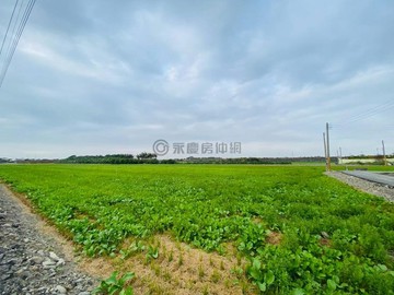 莿桐鄉麻園段近11分地可使用有電農地｜雲林縣莿桐鄉麻園段