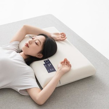夏季冰絲亞慢回彈記憶棉枕頭護頸椎助睡眠酒店同款學生宿舍枕頭朵