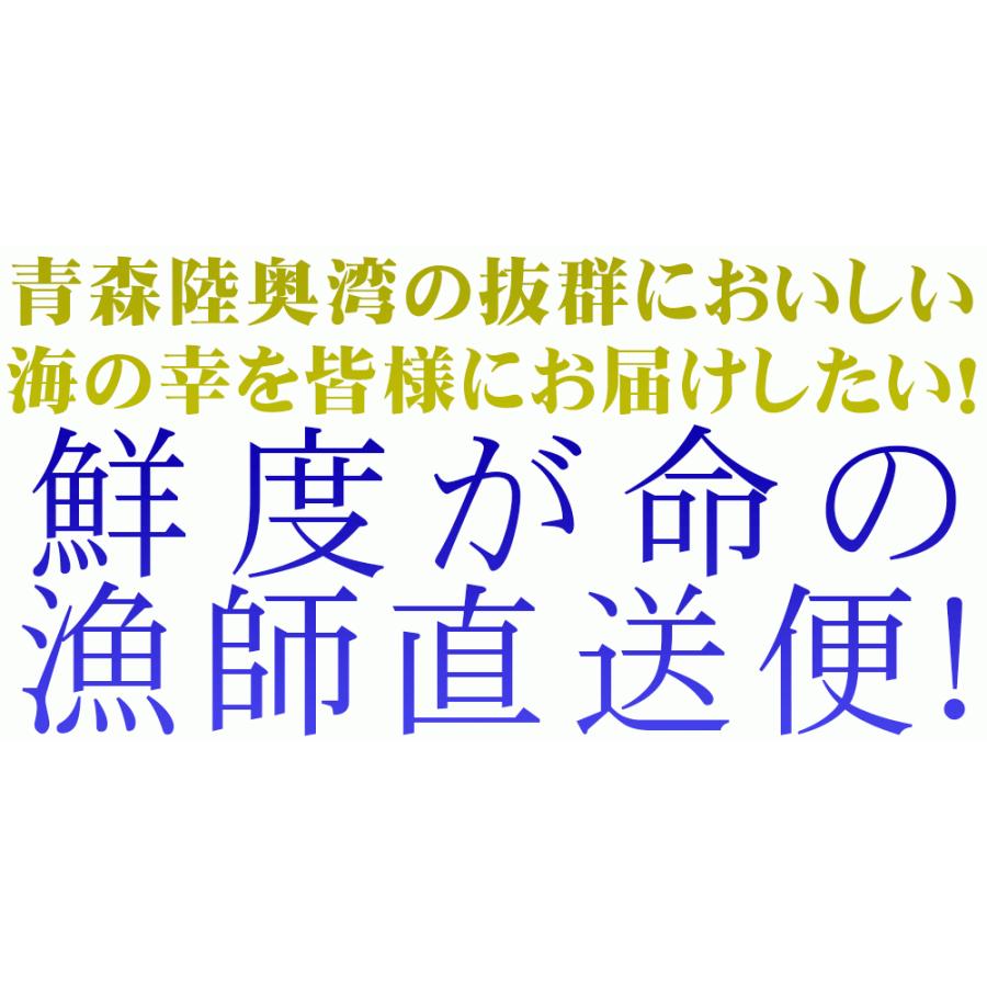 青森県陸奥湾産 ナマコ と ホタテ のセット 送料無料  なまこ ほたて を直送 [※クール便][※他商品と同梱不可]