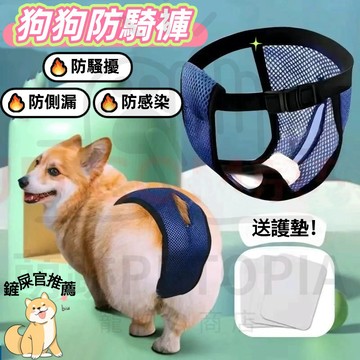 台灣出貨🔥狗狗避孕褲 狗狗生理褲 送護墊 母狗防交配神器防孕防脫超透氣母狗專用寵物避孕姨媽褲 不影響排洩 狗避孕 不絕育