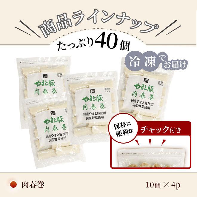 やまと豚 肉春巻 40本 [冷凍] 送料無料 お歳暮 御歳暮 2023 内祝い 食品 春巻 春巻き 冷凍食品 お取り寄せグルメ 中華 ご飯のお供 食べ物 おかず ギフト