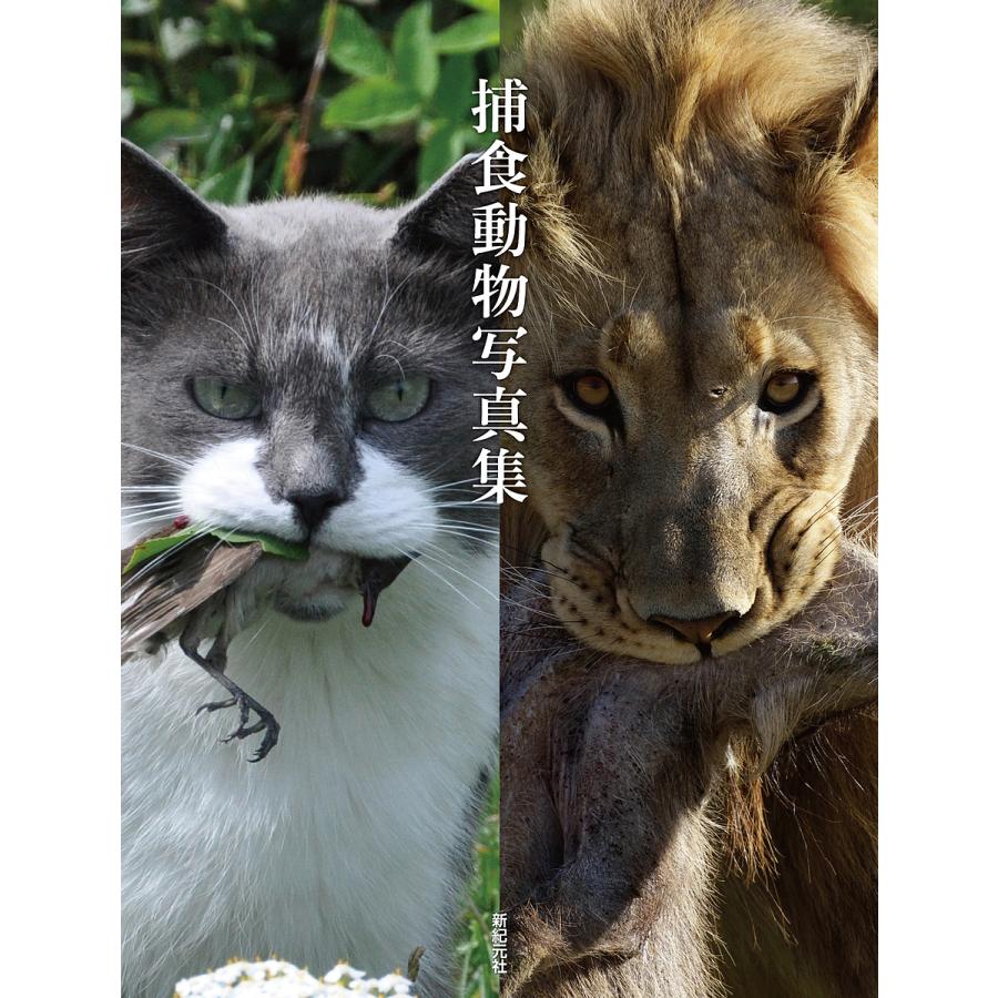 捕食動物写真集 新紀元社