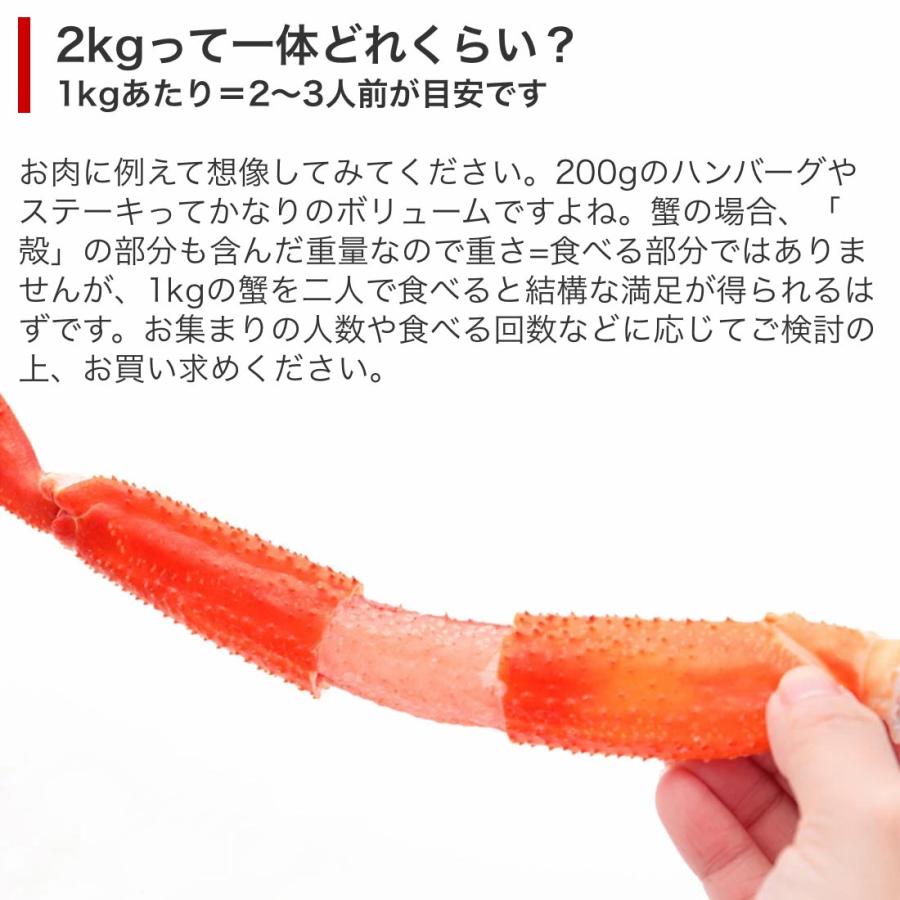 ＼年末予約可／ カニ かに 蟹 コスパ抜群！ 訳あり トゲずわいがに 2kg ※折れ足等が含まれます ズワイ ずわい 送料無料