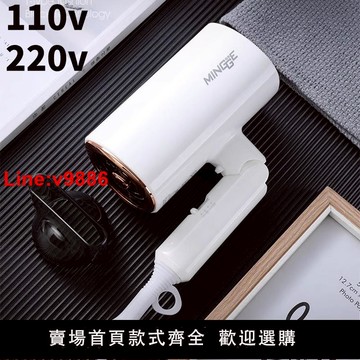 【台灣公司 超低價】110v220v電吹風機負離子護發理發店專用大功率發廊不傷發速干風筒