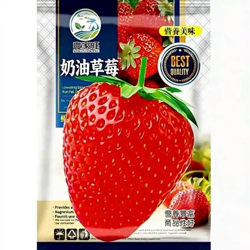 【日本進口原裝】奶油紅草莓種子｜夢幻果實 軟糯香甜｜陽台盆栽 四季可種｜稀有品種限量釋出｜附超簡單催芽攻略｜現貨秒發