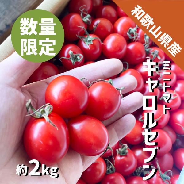 和歌山県産 ミニトマト キャロルセブン 約2kg Mサイズ フルーツトマト 数量限定