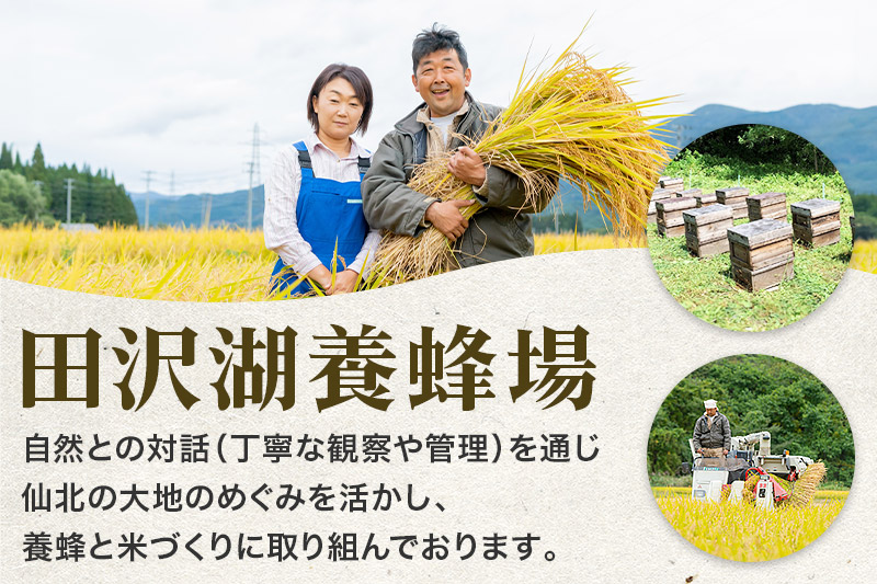 秋田県産 あきたこまち 30kg 新米 令和5年産 30キロ お米 仙北市|02_tyj-323001