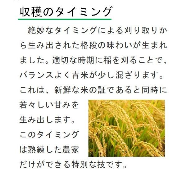 令和5年産　コシヒカリ　自然栽培　無農薬　無肥料　天日干し　玄米5kg