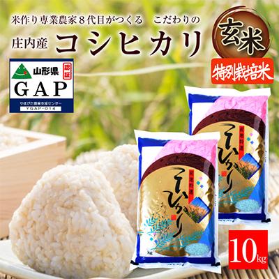 ふるさと納税 酒田市 山形県酒田市　コシヒカリ10kg　玄米　令和5年産 農家直送