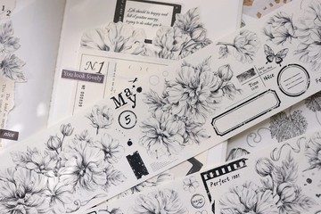 黑白調 復古線描稿 芙蓉花 和紙膠帶