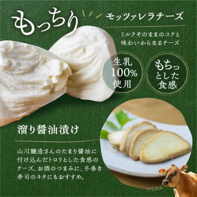 ふるさと納税 飛騨市 ＜明治30年創業の牛乳屋・牧成舎＞飛騨のチーズセット(3個入り)