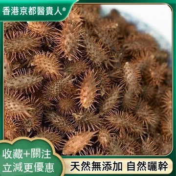 【中草行】限時特賣✅蒼耳子 毛蒼子帶刺毛蒼子牛蝨子磁頭芒 自然曬幹泡水泡茶250g-500g【使用之食材】