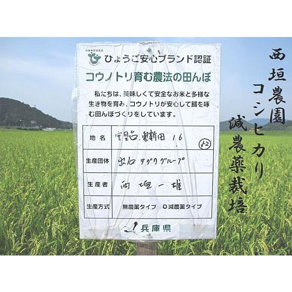 「西垣農園」いずしろまん コシヒカリ 白米5kg（減農薬栽培 化学肥料不使用）