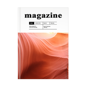 本,雑誌,コミック