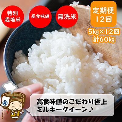 ふるさと納税 あわら市 特別栽培米ミルキークイーン5kg 《こだわり極上無洗米》 全12回