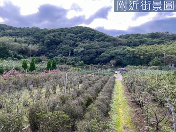 金山丙建+農地 - 背山面海視野開闊、道路約5米｜新北市金山區半嶺