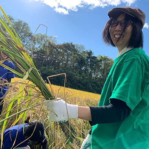 水菜土農園秋田県産 あきたこまち 5kg・ミルキークイーン 5kg 令和4年産 サキホコレ 150g 付き