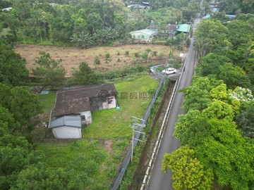 專售 台灣肖楠林海｜光復大興村森林 5C1150｜花蓮縣光復鄉民生街