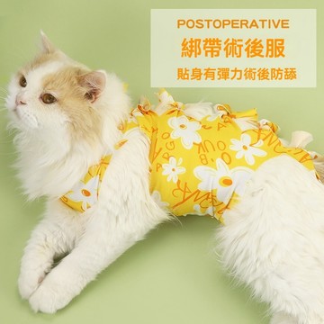 貓咪絕育服母貓斷奶服寵物術后防舔衣服公貓綁帶手術服透氣戒奶服