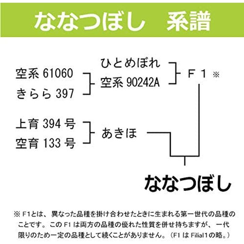 令和４年産 当麻産 ななつぼし 10kg (5kg×2袋) 白米 北海道米