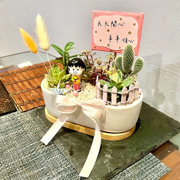 櫻桃小丸子 感恩禮 答謝 多肉組盆 多肉植物 祝福小丸子 生日禮物