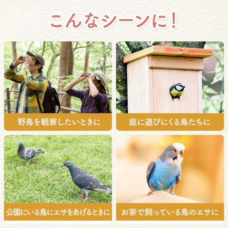 MIXXIDEA ひまわり鳥フィーダー バードバス アウトドア用 鳥の餌やり器