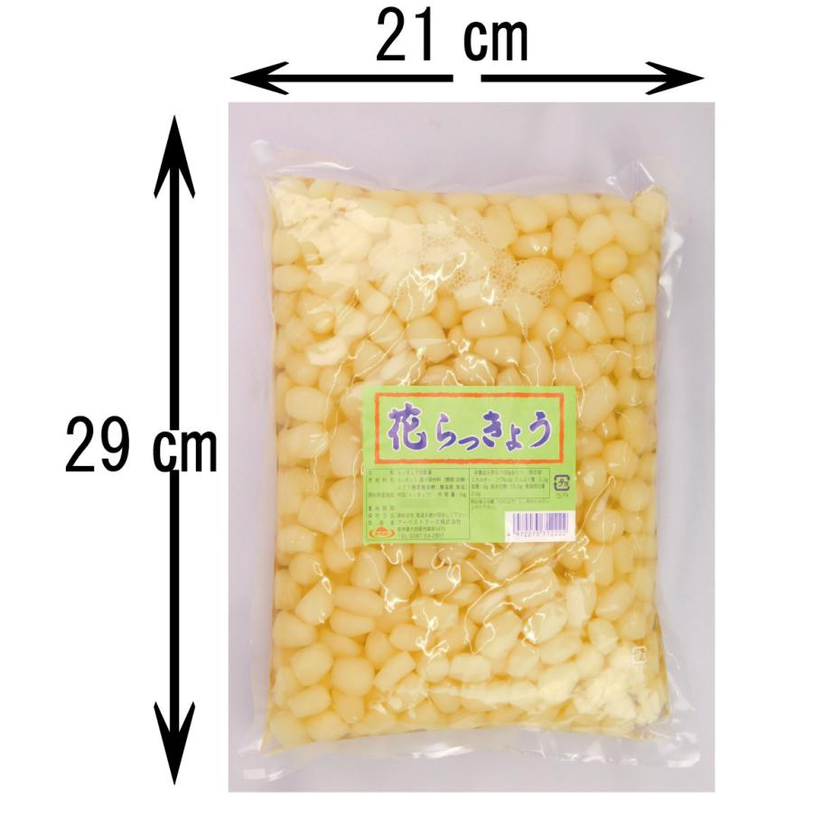 送料無料　らっきょ　らっきょう　花らっきょ　ラッキョウ　業務用　アーベスト　花らっきょう　1kg