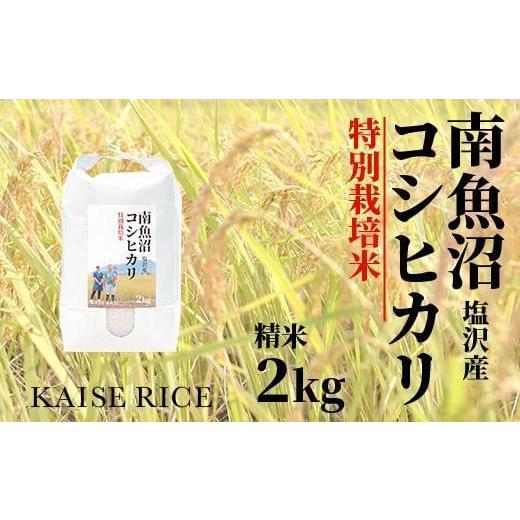 ふるさと納税 新潟県 南魚沼市 南魚沼産塩沢コシヒカリ（特別栽培米８割減農薬）精米２ｋｇ×全１２回