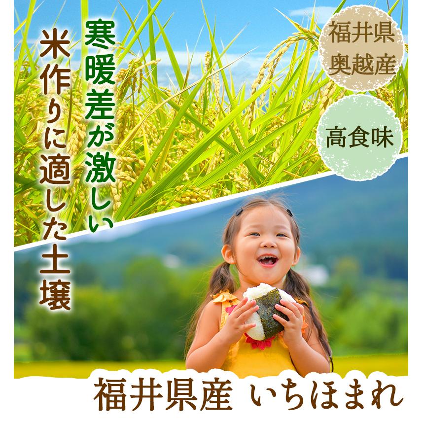 いちほまれ 5kg 真空パック 令和5年福井県産 新米入荷 送料無料 福井県のブランド米