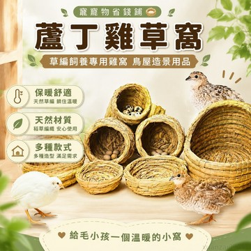 寵物省錢鋪】 蘆丁雞草窩草編飼養專用雞窩鸚鵡過冬神器保暖下蛋窩鳥屋造景用品 寵物用品 出貨 鸚鵡睡窩 蘆丁雞飼養箱