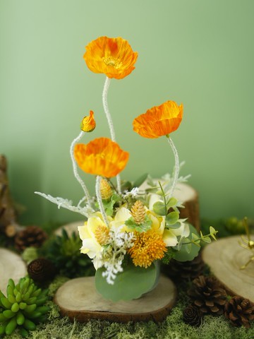 恆久祝福橘美人香氛花禮/入厝禮/開幕/喬遷/送禮/植栽