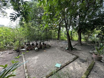 內門金竹國小休閒農地｜高雄市內門區金竹段