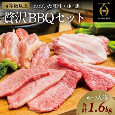 ふるさと納税 豊後高田市 おおいた和牛焼肉セット(合計1.6kg)