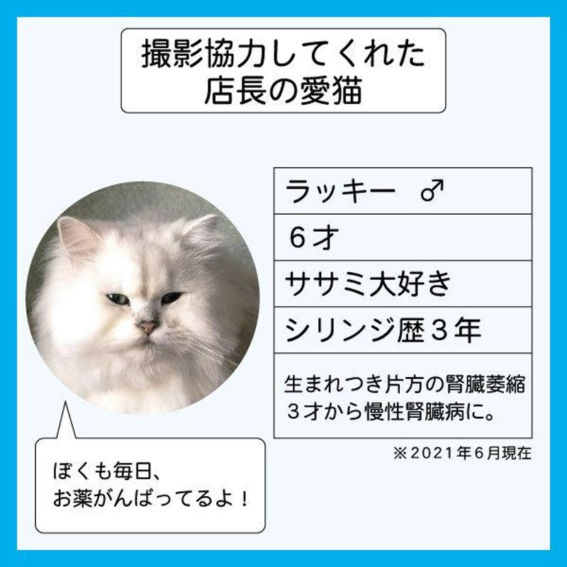 シリンジ 5ml 強制給餌 投薬 猫 小型犬用 10本セット - 通販