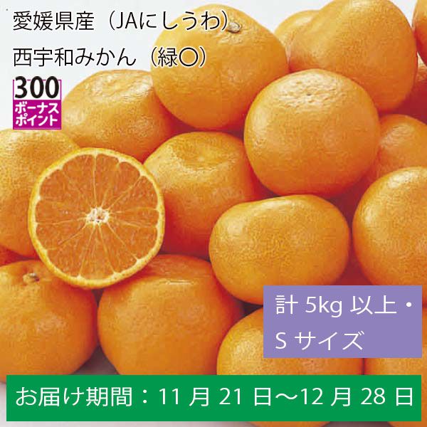 愛媛県産（JAにしうわ）西宇和みかん（緑〇）計５Kg以上・Ｓサイズ