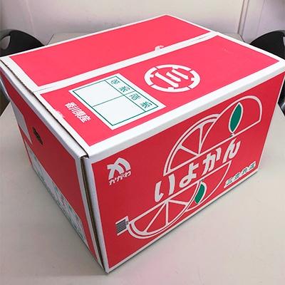 ふるさと納税 三豊市 伊予柑　10kg(30〜50玉入り)