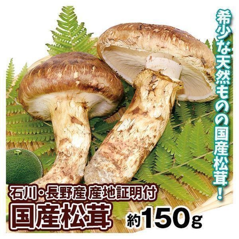 松茸 約150g 国産松茸 石川・長野産 送料無料 食品 | LINEブランドカタログ