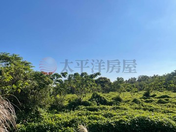 地主很想賣~青埔聖德路內厝段漂亮田｜桃園市中壢區內厝段