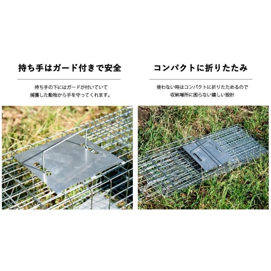 捕獲器 猫 アニマルトラップ トラップ Mサイズ 駆除 捕獲 踏板式 捕獲機 動物 罠 保護 庭 農業 アニマルキャッチャー LB-201