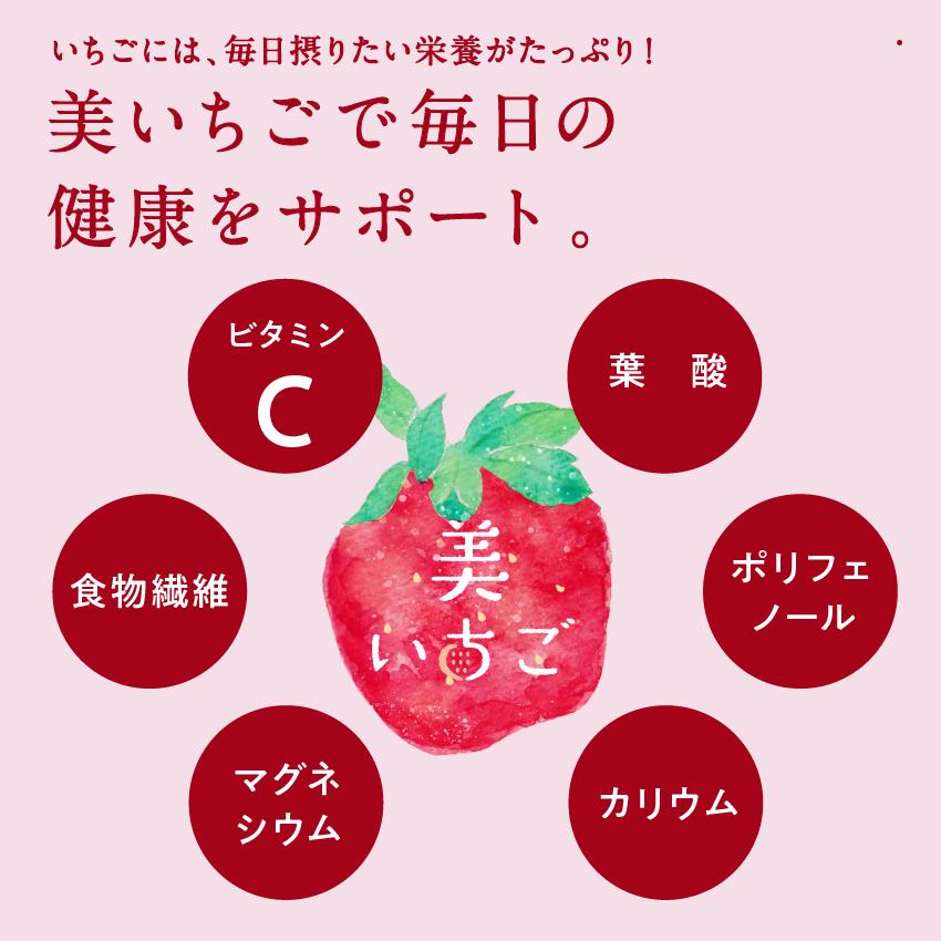 美いちご 1kg(500g×2袋) 冷凍 イチゴ 苺 有機栽培 国産 宮崎県産 フレッシュ スムージー スイーツ ギフト プレゼント 送料無料